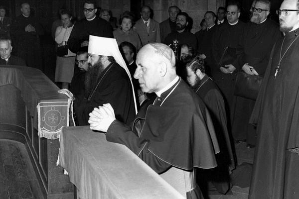 cardinal-colombo