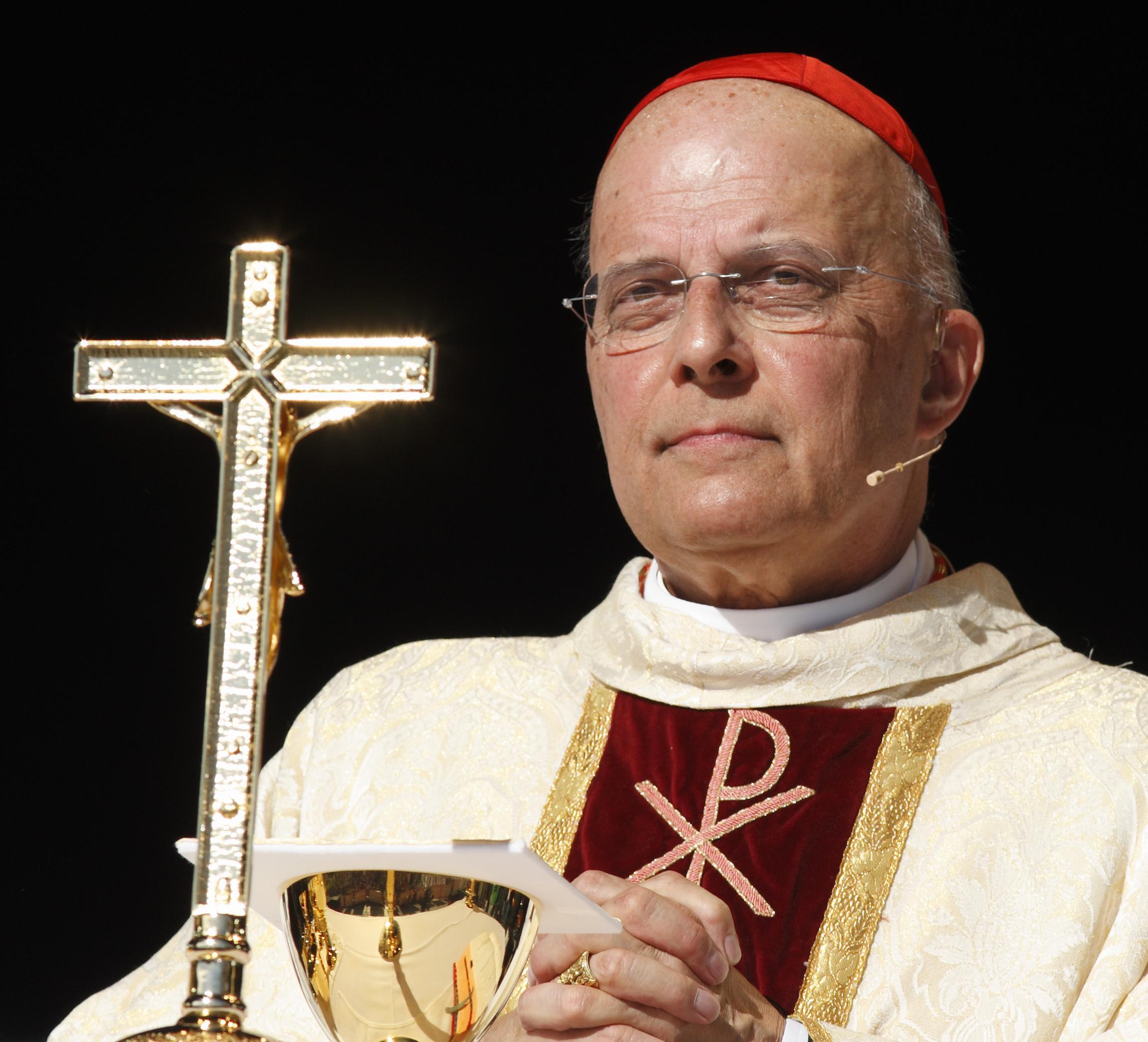 cardinal-franciskkk