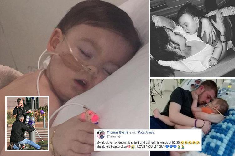 my gladiatoralfie evans v5