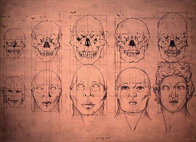 eugenics