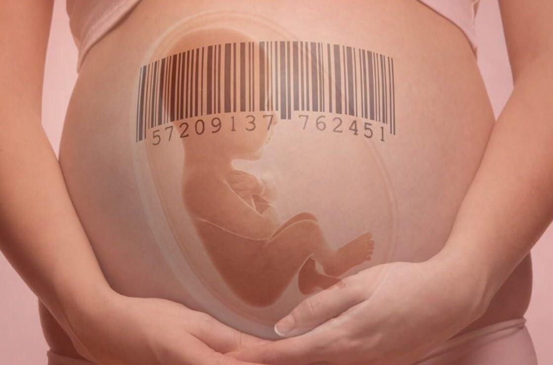 utero in affitto 1