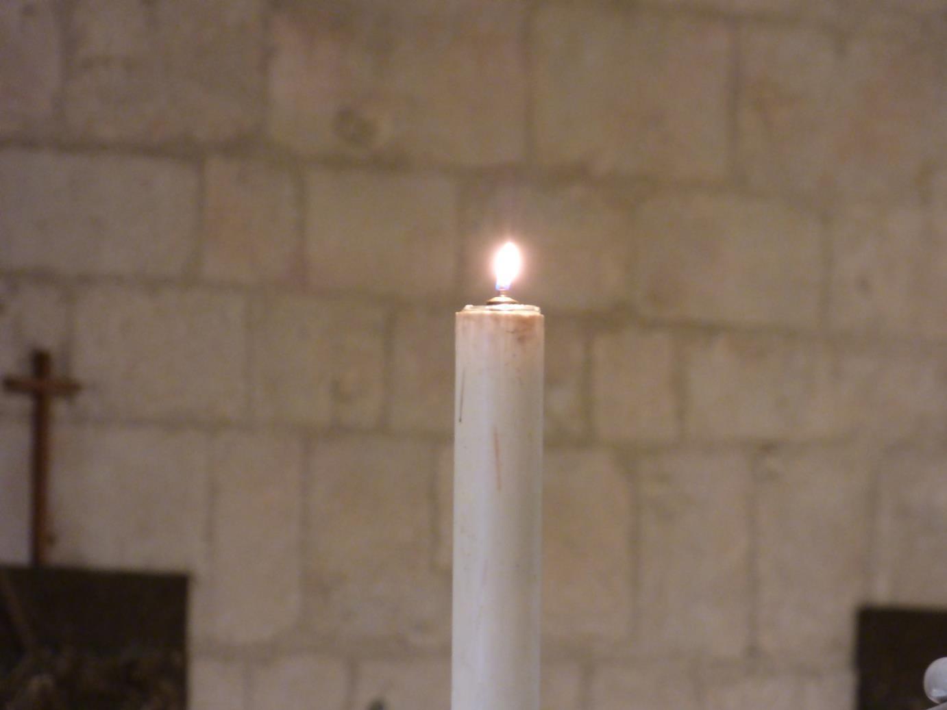 luce casamari